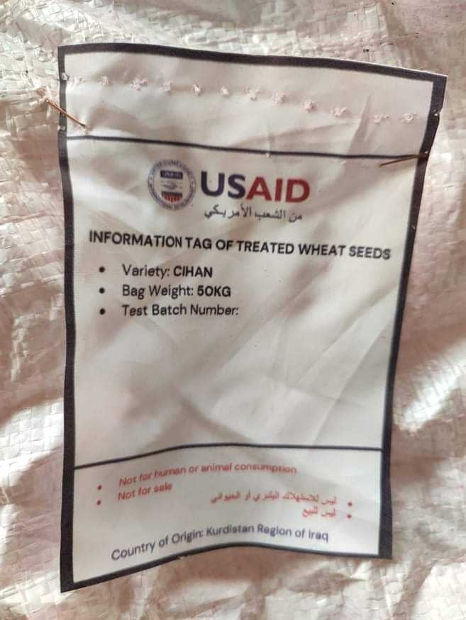 الحسكة