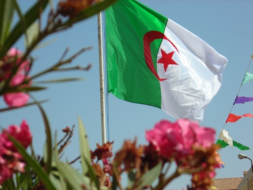 الجزائر تدعو مجلس الأمن للتحرك العاجل لحماية الشعب الفلسطيني