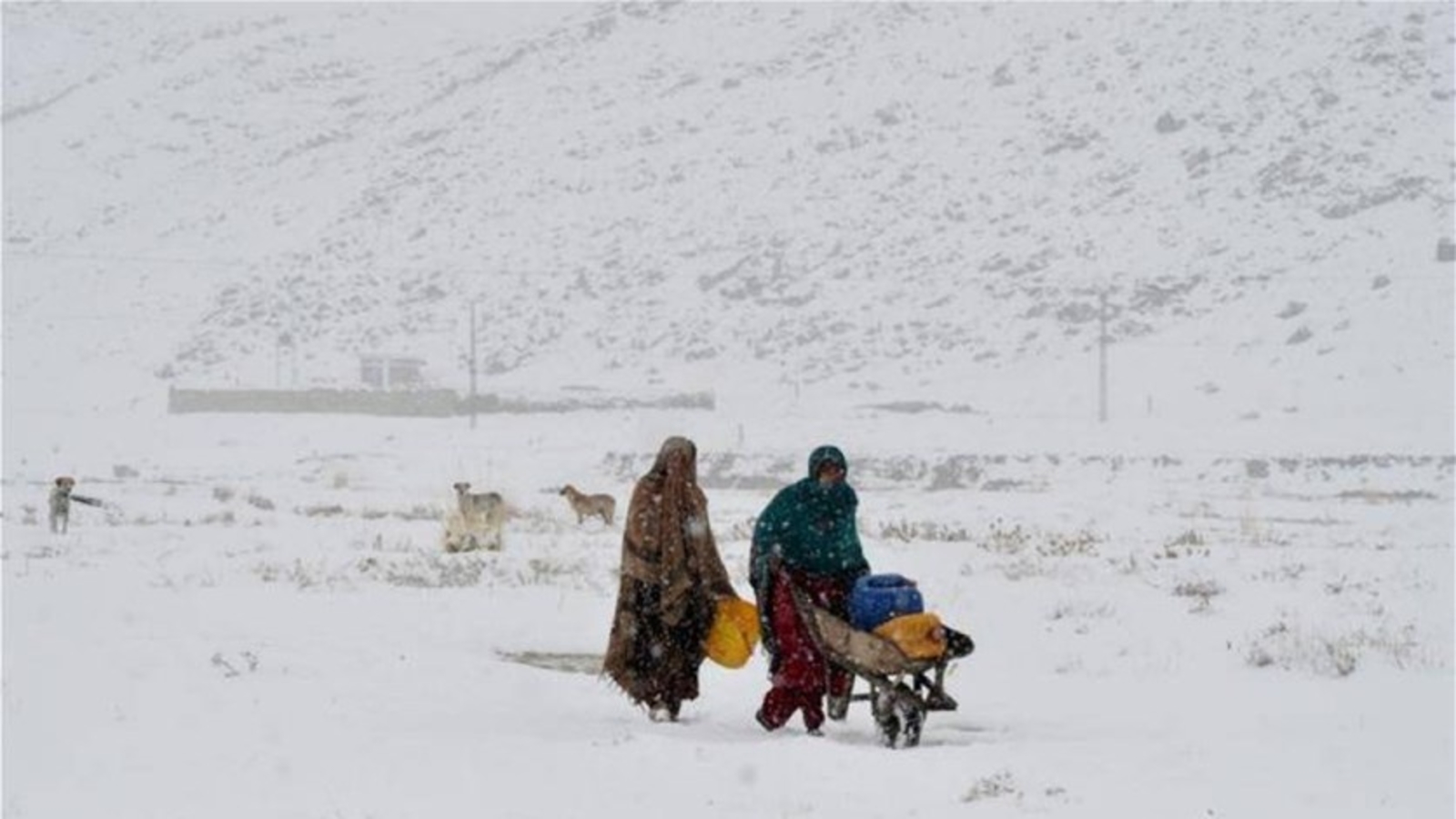 عاصفة ثلجية في باكستان تودي بحياة 16 شخصاً على الأقل (صورة أرشيفية)