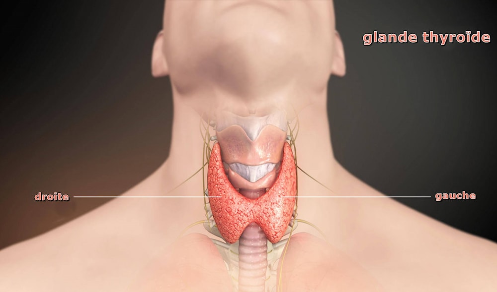 التفسير العلمي لظهور آلام في الذراع الأيسر نتيجة اضطرابات في الغدة الدرقية - تأثير العلاج على تخفيف الألم في الذراع الأيسر