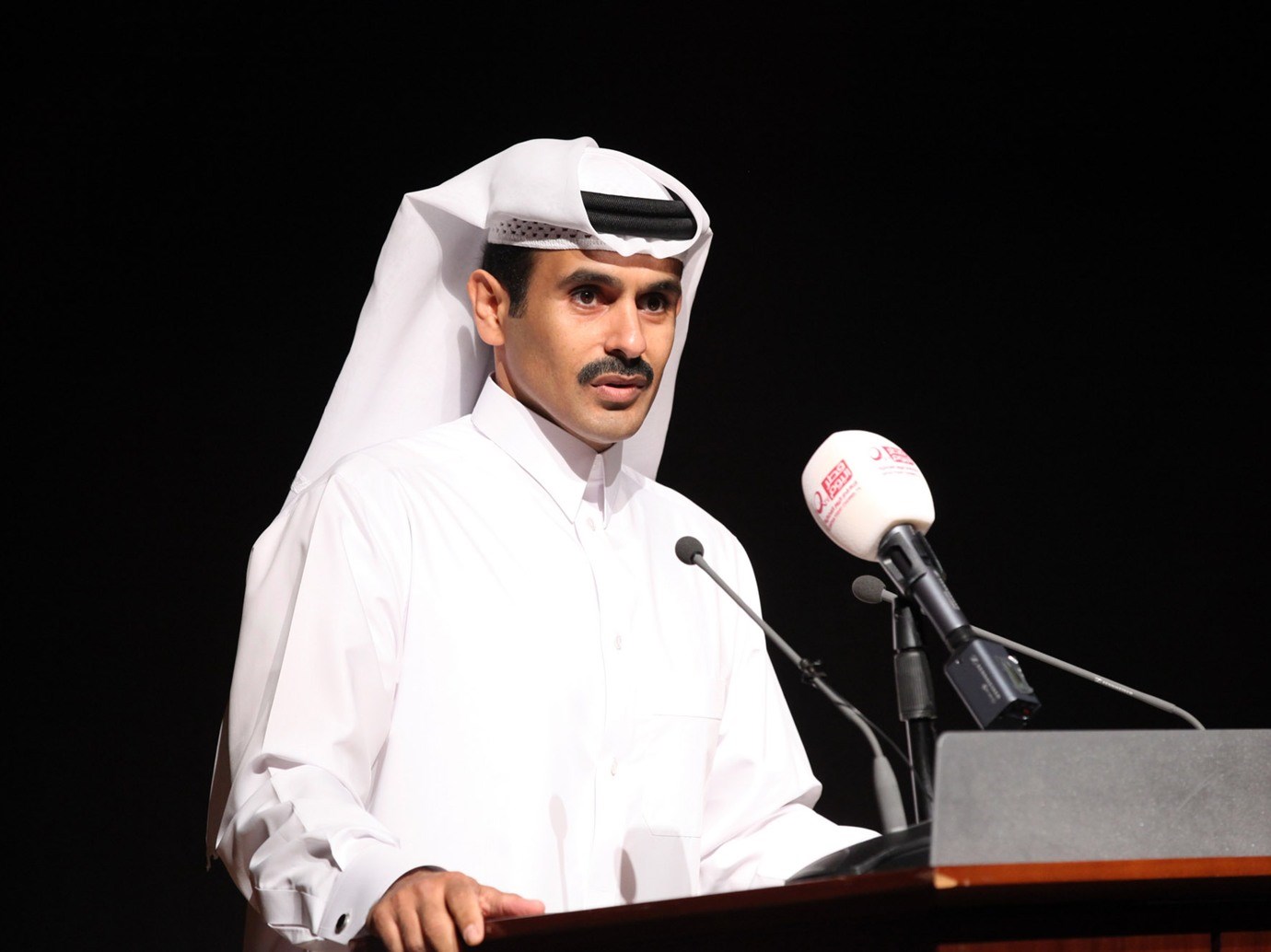 الكعبي: لا شيء يمكنه تعويض نقص إمدادات الطاقة الروسية