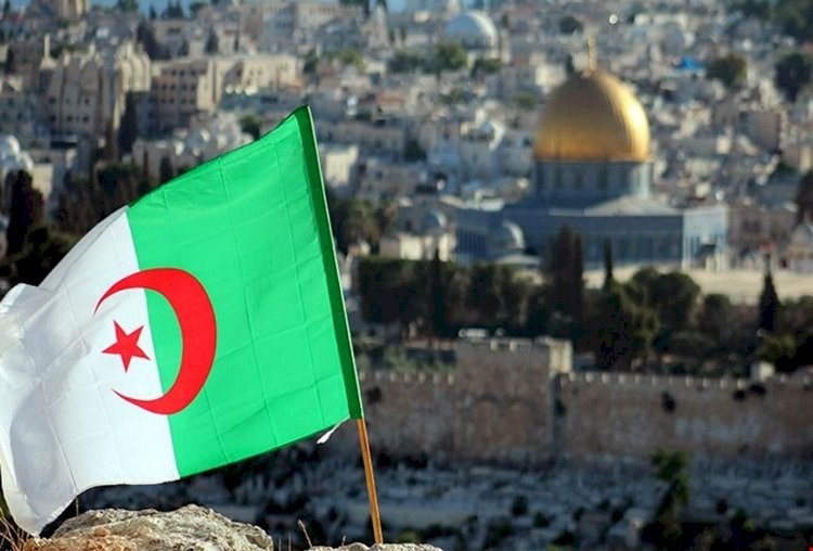 الجزائر تدعو مجلس الأمن لحماية الفلسطينيين من الاعتداءات الصهيونية