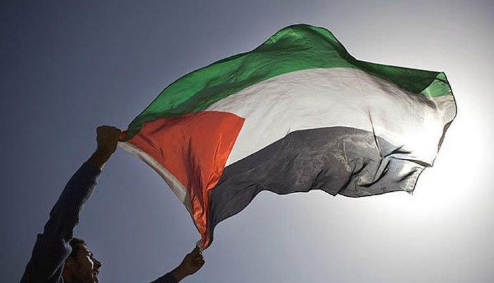  192 براءة اختراع فلسطينية