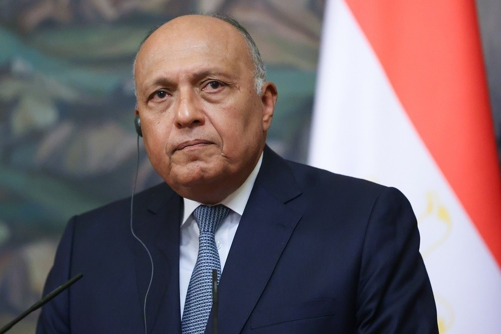 وزير الخارجية المصري من موسكو: الدول العربية عرضت الوساطة لحل الأزمة في أوكرانيا