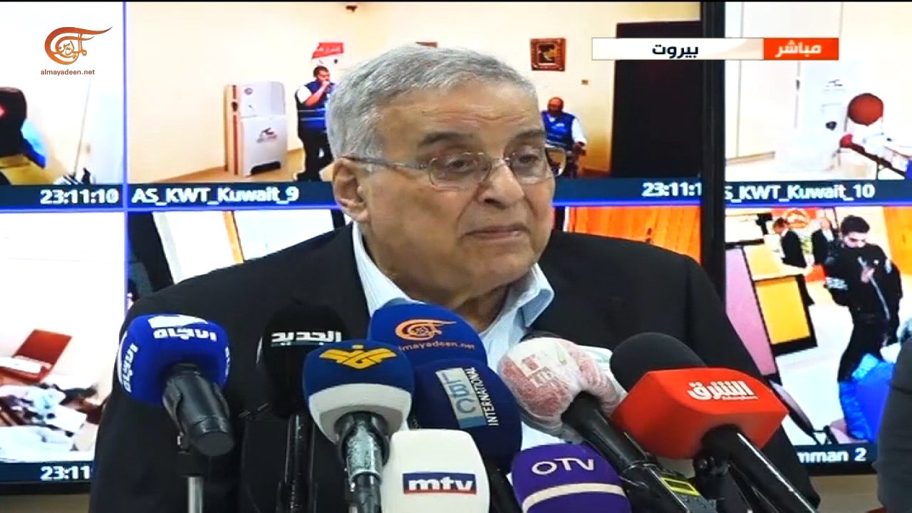 بو حبيب: نسبة تصويت المغتربين اللبنانيين بلغت 60%