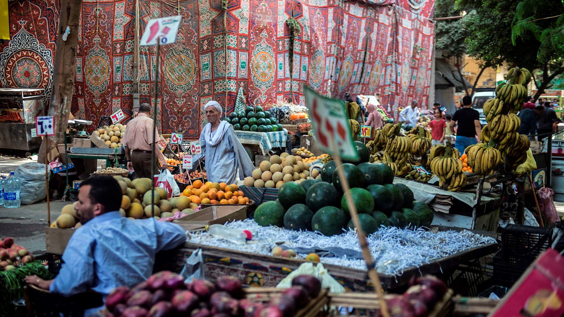مصر