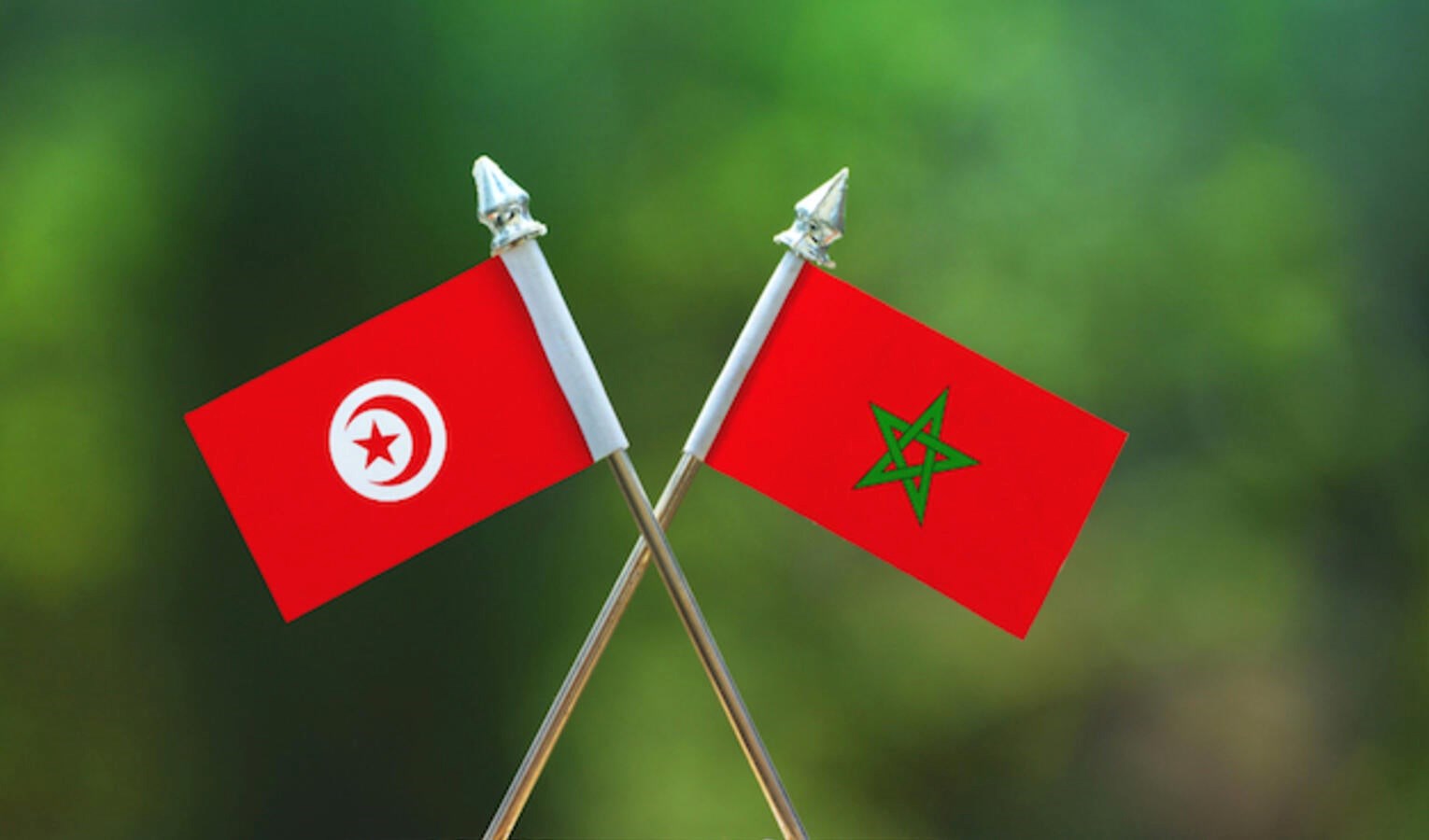 تونس