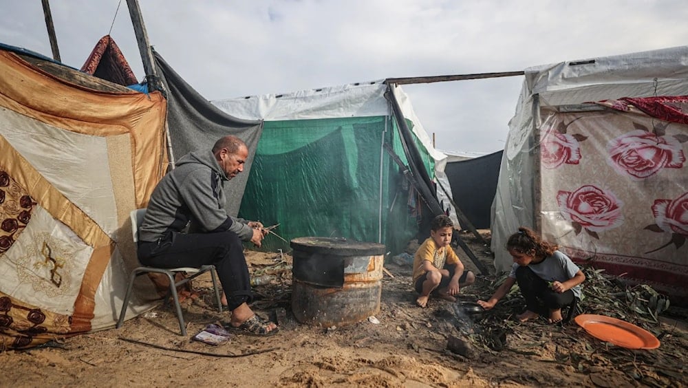 لا يزال هناك نحو 807 آلاف فلسطيني ما زالوا يقيمون في محافظتي غزة وشمالي غزة رغم تدمير منازلهم