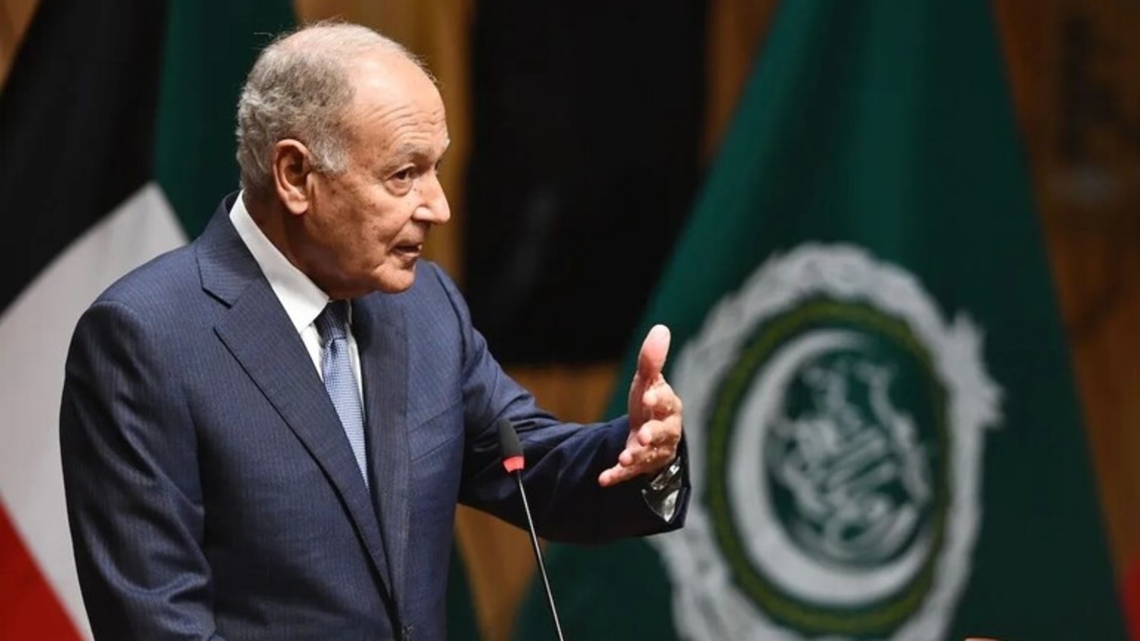 الأمين العام لجامعة الدول العربية أحمد أبو الغيط