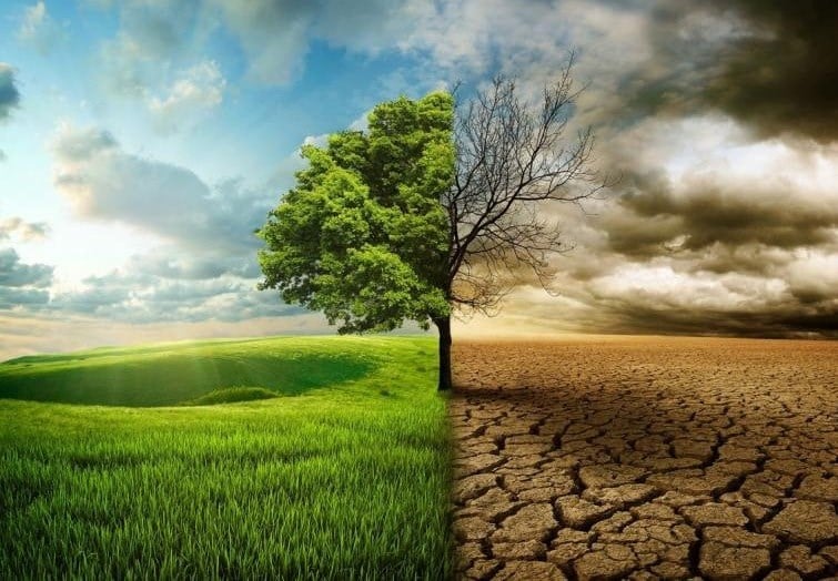 مناطق في العالم أكثر عرضة للأضرار الناجمة عن تغير المناخ