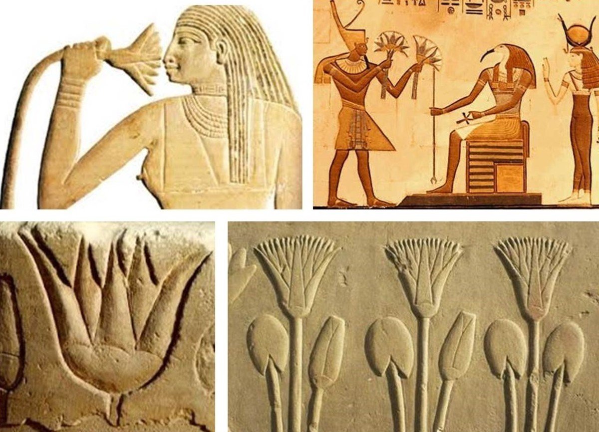 آثار لرسومات زهرة اللوتس مجسدة على الجدران في مصر القديمة
