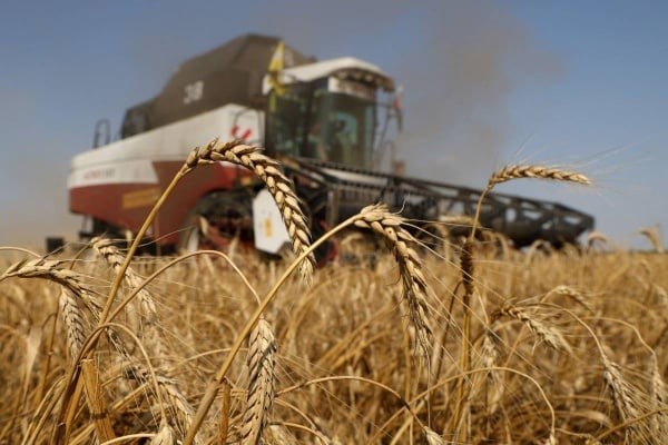 روسيا سنقدم 50 ألف طن من الحبوب إلى 6 دول أفريقية قريباً
