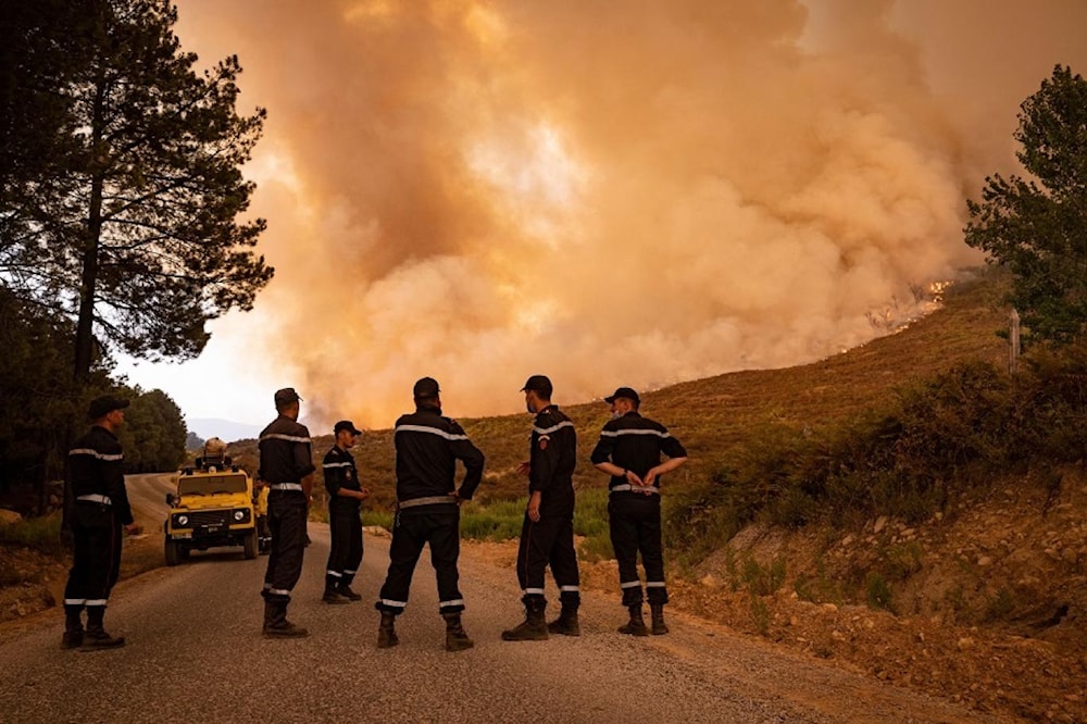 الجزائر: السيطرة على 20 حريق غابات في ولاية بجاية