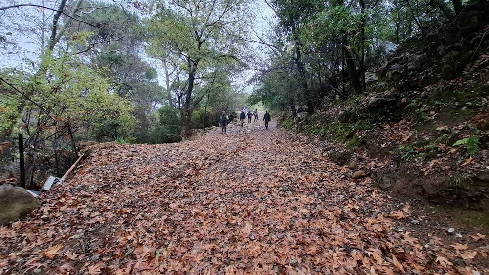 طبيعة خلابة في جبل لبنان