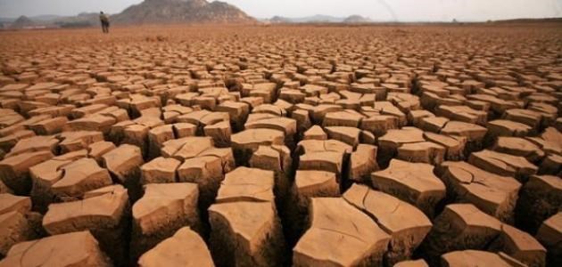 بعدما ضرب الجفاف 4 دول أفريقية.. زيمبابوي 