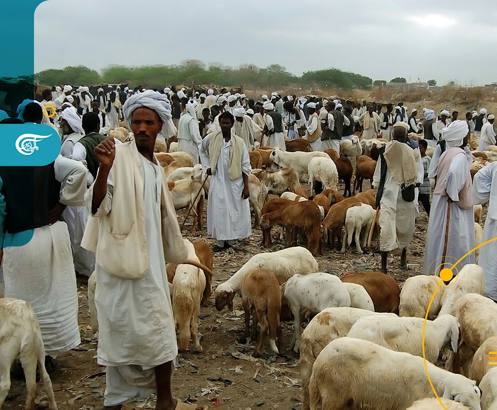 في المخيمات والمنافي.. كيف يستعد السودانيون لعيد الأضحى؟