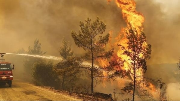 خمسة قتلى وعشرات الجرحى بحرائق غابات في جنوب شرق تركيا
