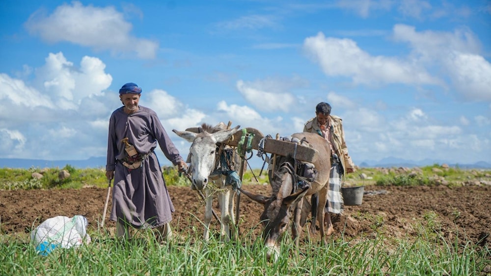  الجهات الرسمية والمبادرات المجتمعية ركزت على تحفيز المزارعين وتشجيعهم من أجل التوسع في زراعة مختلف المنتجات والمحاصيل 