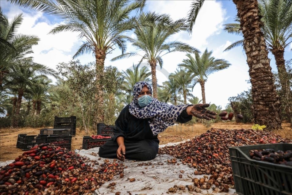 ما لا نعرفه عن دير البلح