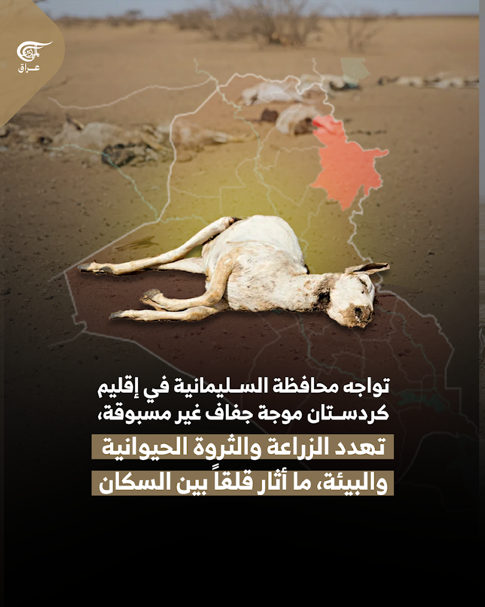 الجفاف يضرب السليمانية.. العام الأكثر جفافاً منذ 1933