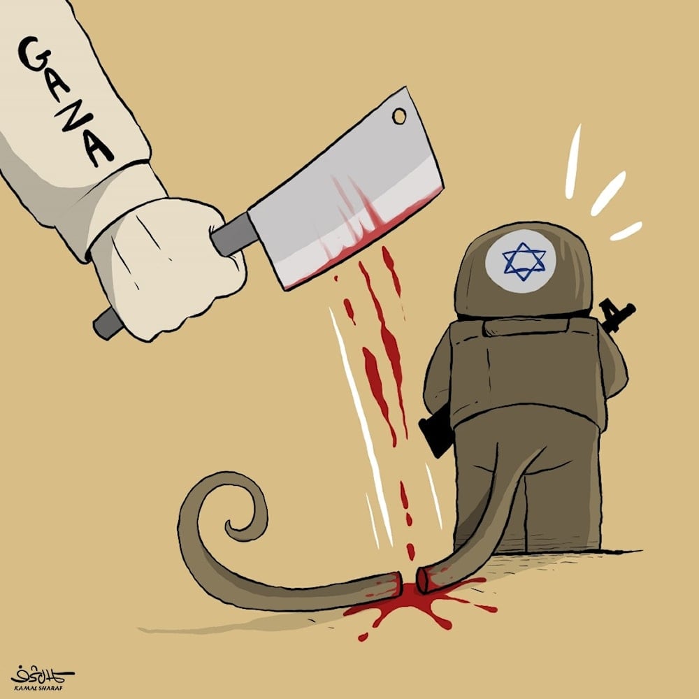 (كمال شرف)