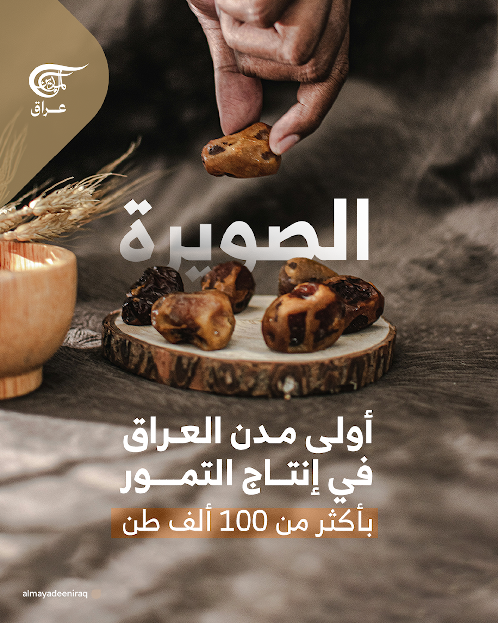  بأكثر من 100 ألف طن، الصويرة أولى مدن العراق في إنتاج التمور