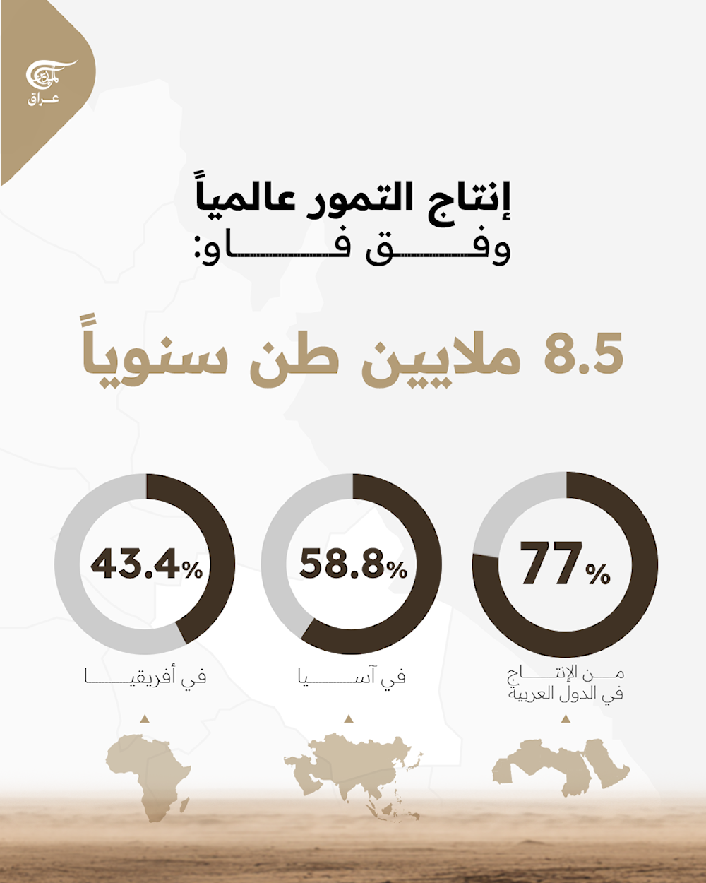  بأكثر من 100 ألف طن، الصويرة أولى مدن العراق في إنتاج التمور