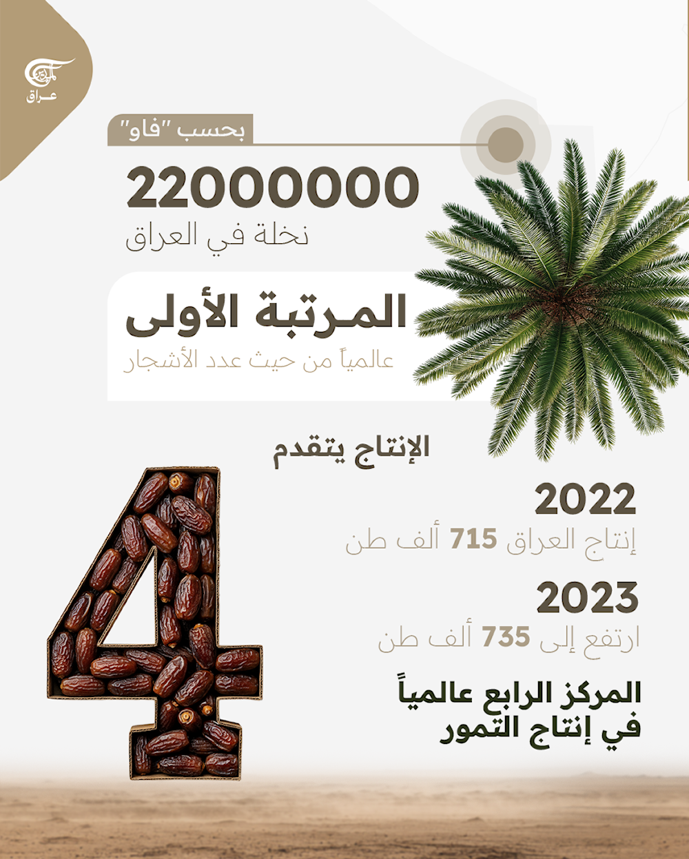  بأكثر من 100 ألف طن، الصويرة أولى مدن العراق في إنتاج التمور