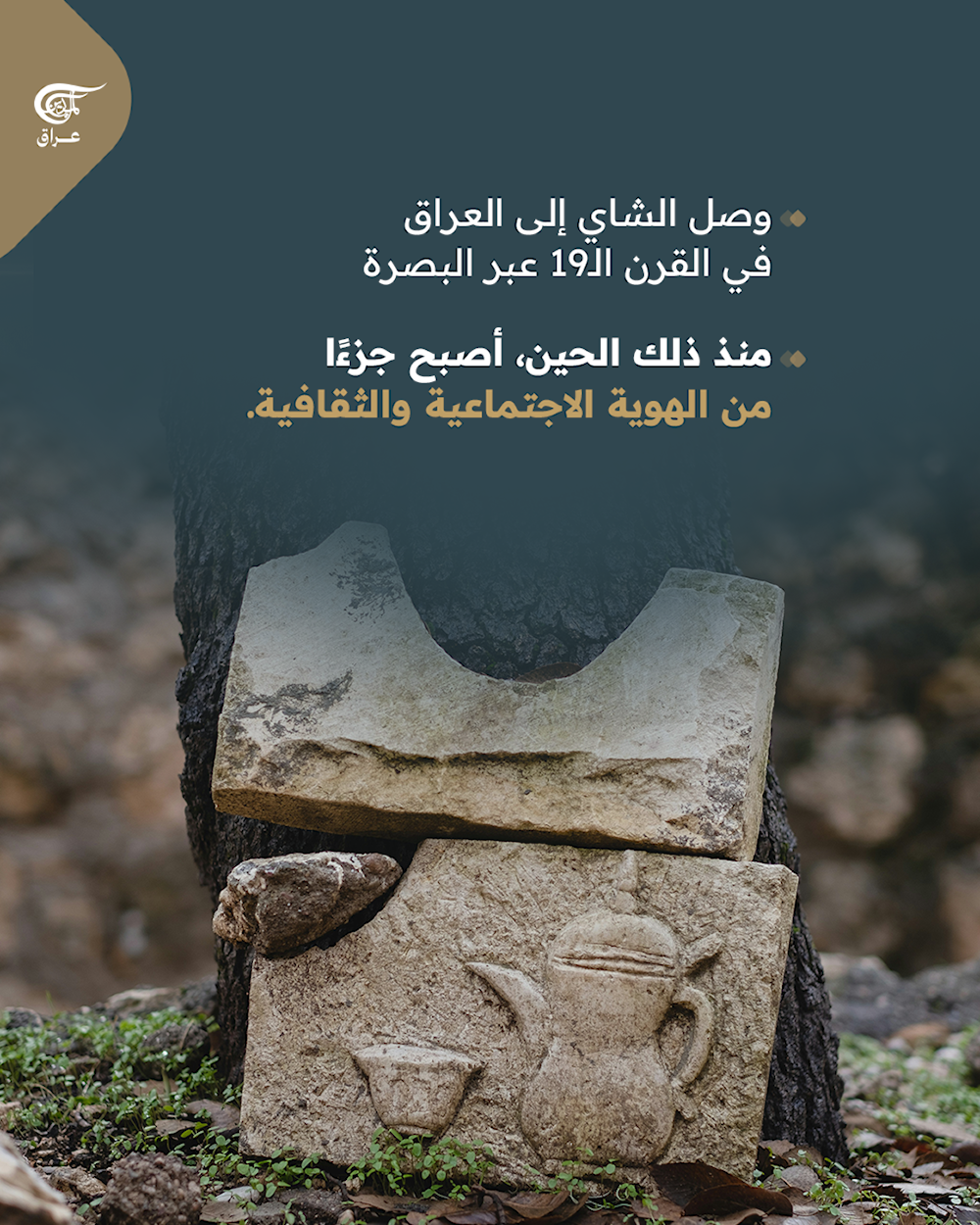 العراق من أكثر الشعوب عشقًا للشاي في العالم!
