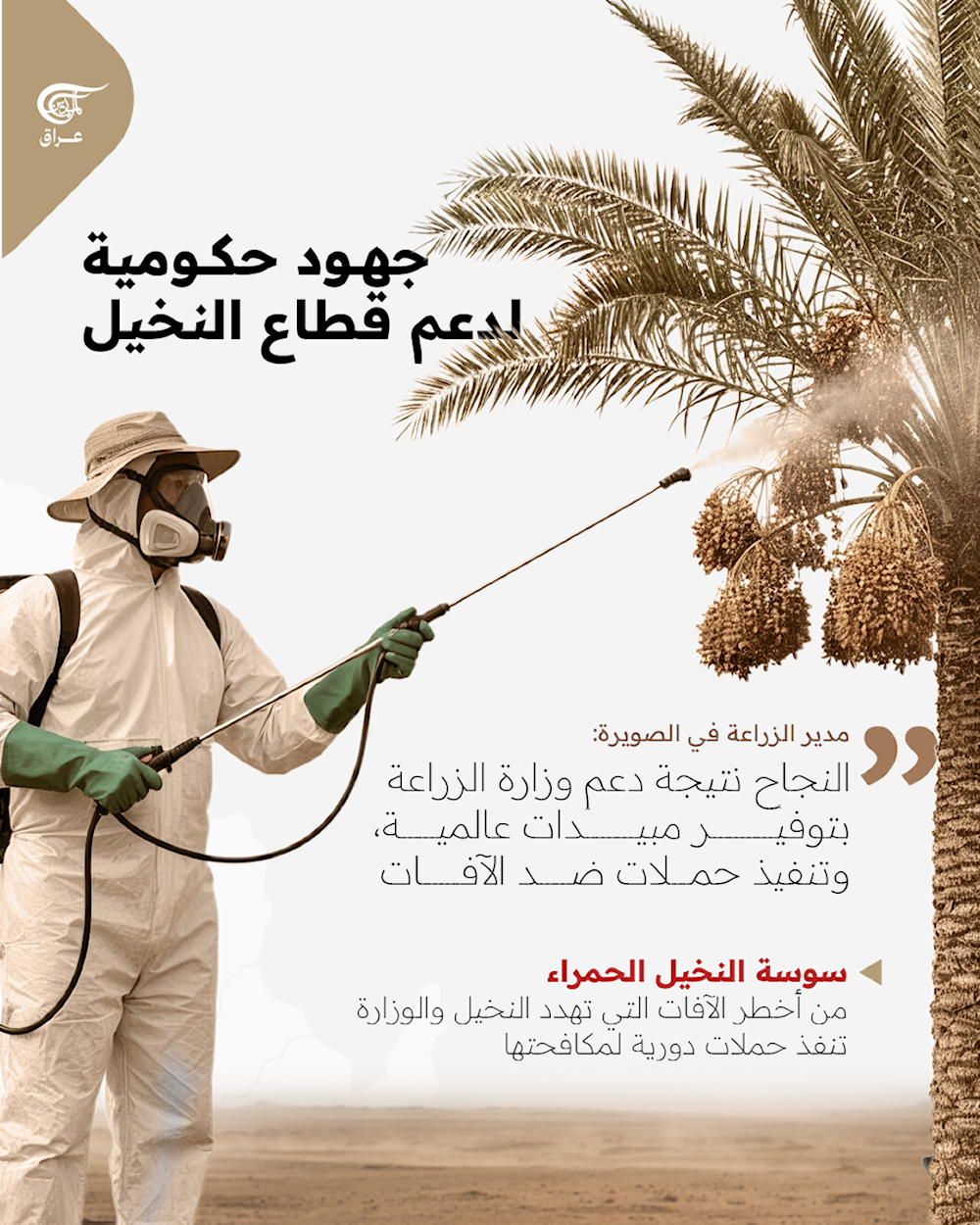  بأكثر من 100 ألف طن، الصويرة أولى مدن العراق في إنتاج التمور