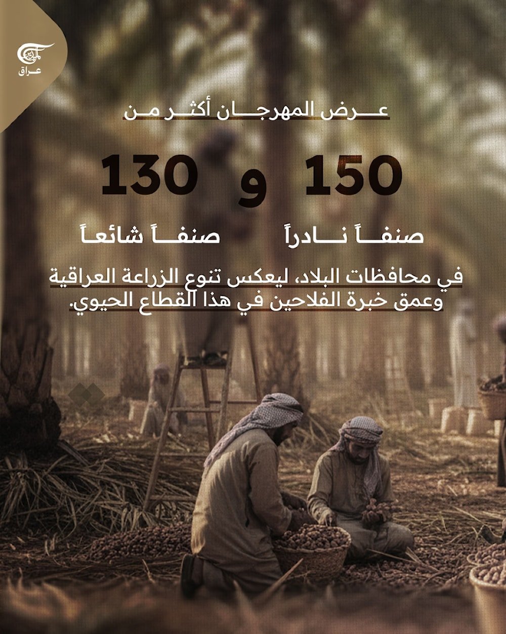 التمر العراقي… أكثر من طعم، هوية ووطن!