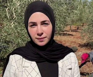 كيف يبدو وادي هونين الواقع بمحاذاة المنطقة العازلة، مع توافد الأهالي إلى كروم الزيتون؟ كيف يبدو وادي هونين الواقع بمحاذاة المنطقة العازلة، مع توافد الأهالي إلى كروم الزيتون؟