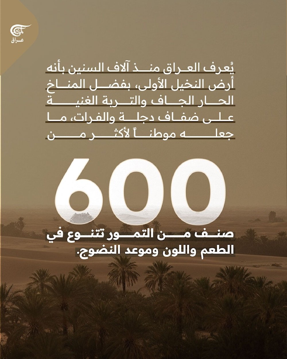 التمر العراقي… أكثر من طعم، هوية ووطن!