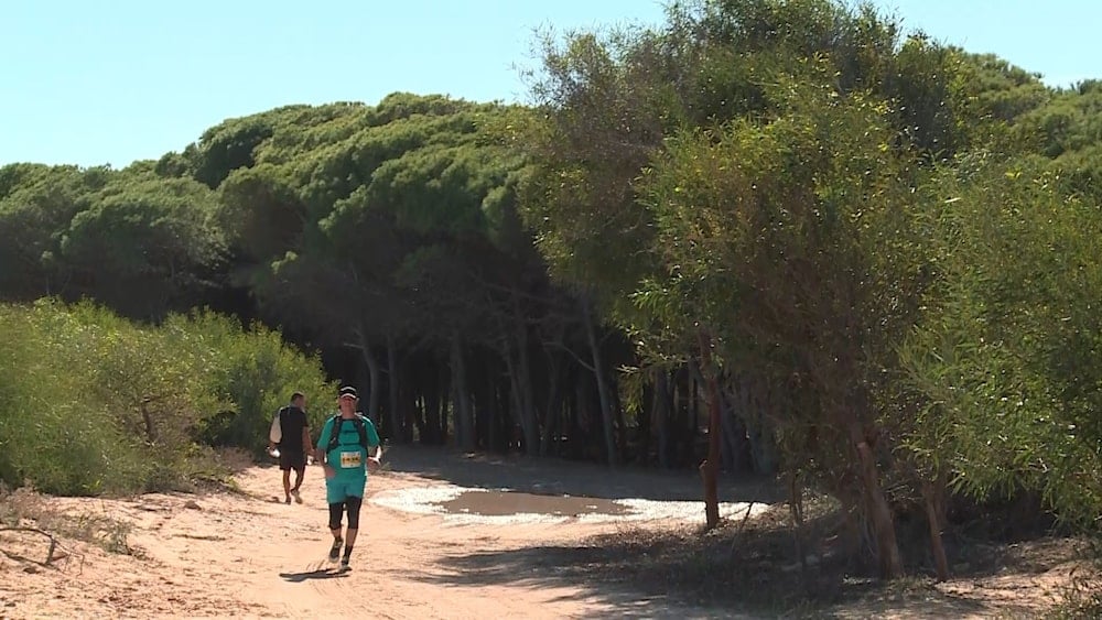 في أقصى شمال إفريقيا: 