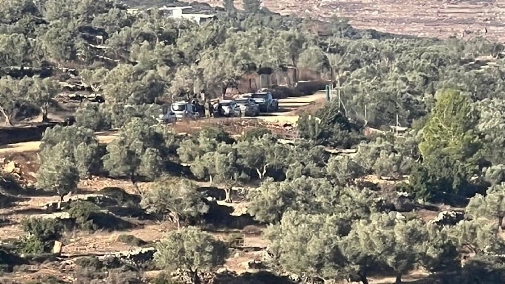 مليشيات المستوطنين الصهاينة وبحماية جنود الاحتلال يعتقلون عدداً من الفلسطينيين ويحتجزون مركباتهم في أثناء قطاف الزيتون شمال رام الله في الضفة الغربية (تواصل اجتماعي)