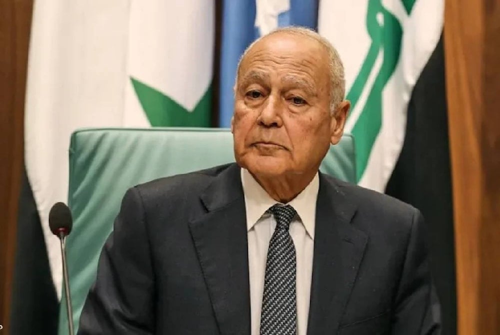 الأمين العام لجامعة الدول العربية أبو الغيط (أرشيفية)