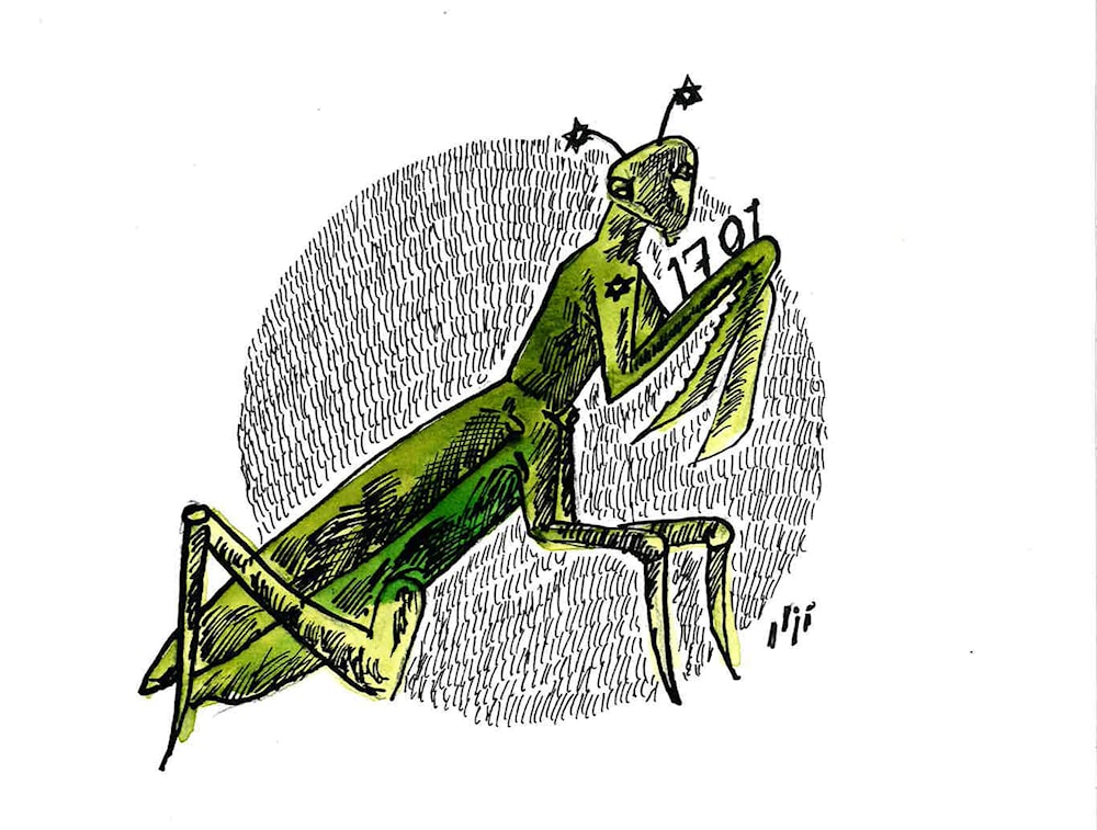 (نزار عثمان)