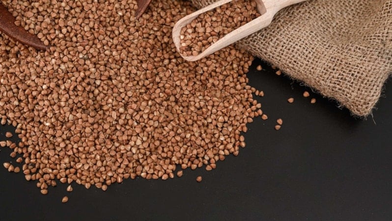 باحثون روس يبتكرون تقنية جديدة لتنقية المياه ببذور الأشجار