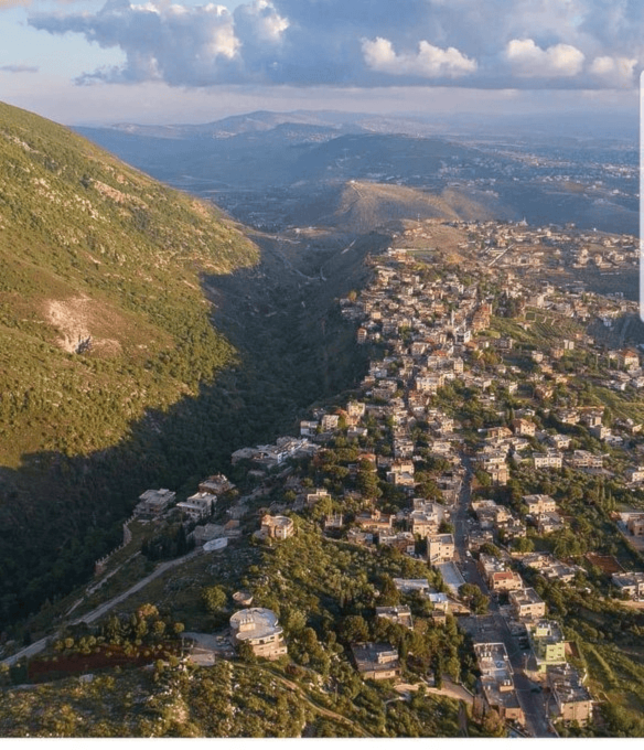 صورة جوية لبلدة عربصاليم