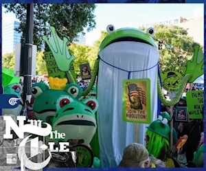 ضفادع وحيوانات أخرى.. لماذا يرتدي أميركيون أزياء فكاهية في احتجاجاتهم ضد ترامب؟ ضفادع وحيوانات أخرى.. لماذا يرتدي أميركيون أزياء فكاهية في احتجاجاتهم ضد ترامب؟