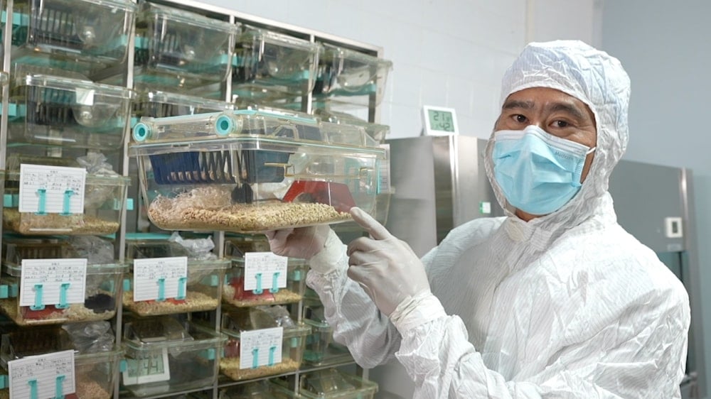 لأول مرة.. الصين تجري تجارب على فئران في الفضاء