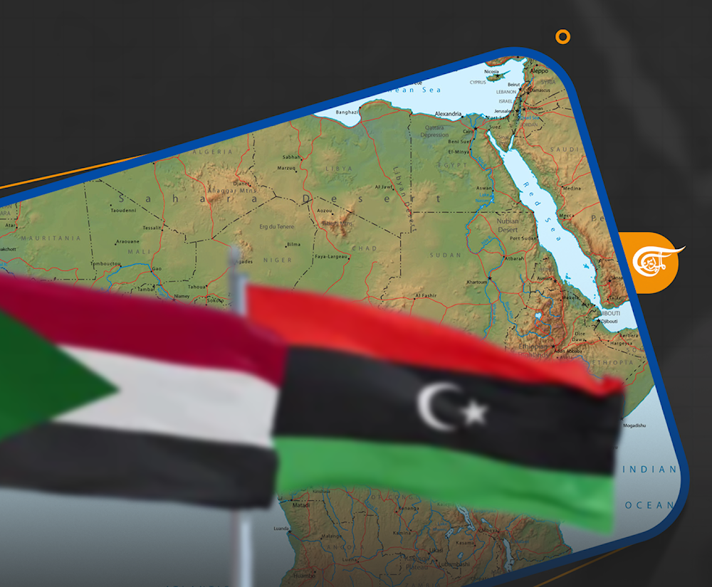  التدخلات الخارجية في السودان وليبيا أدت أيضاً إلى تهميش المؤسسات الإقليمية والدولية.