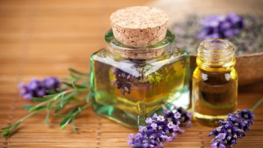 إرث من الحكمة الطبيعية.. هذا دليلك لاكتشاف فوائد زيت الضرو