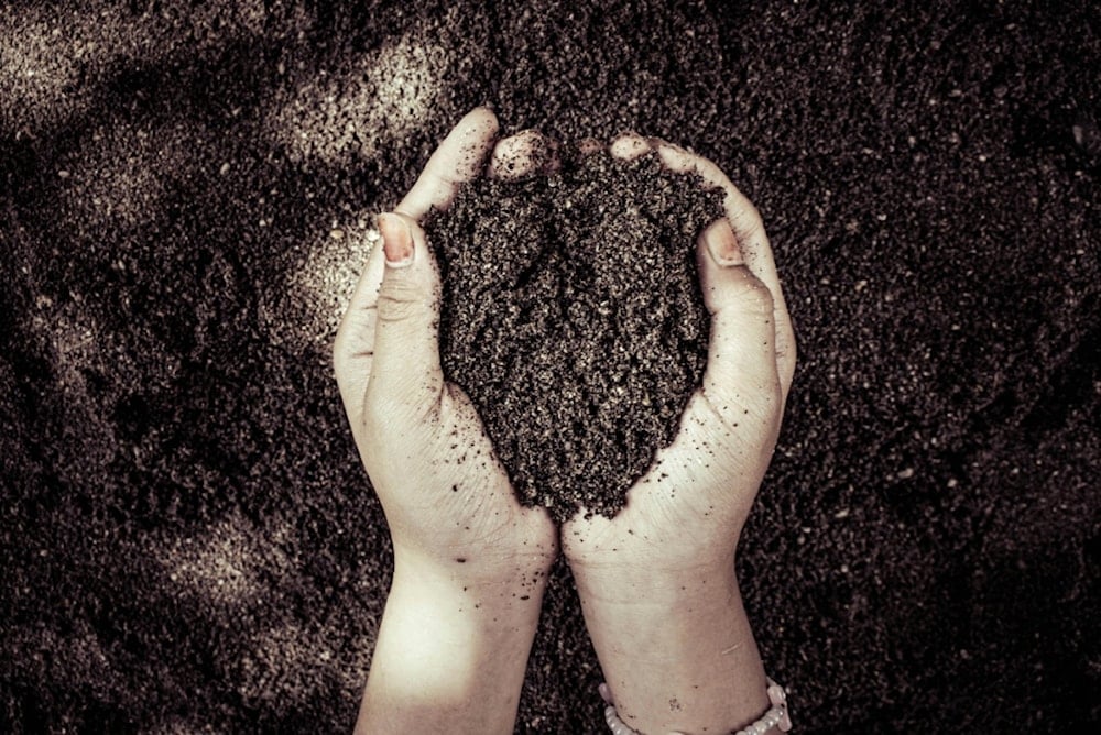 تمّ تطوير تركيبتين للتربة السوداء الاصطناعية أظهرتا كفاءة عالية على التربة الرملية