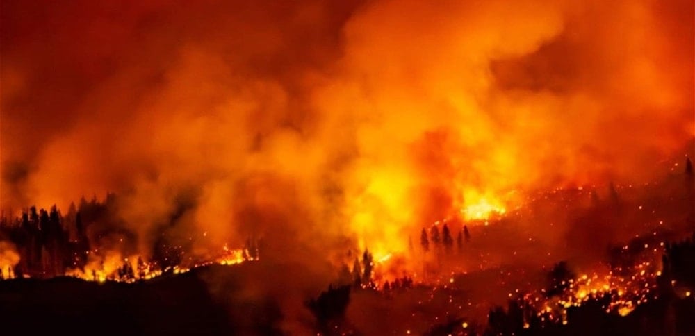 متابعة رسمية لبنانية لكارثة حرائق الغابات