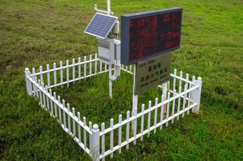  جوانب من قاعدة لزراعة التوت البري في مدينة فويوان (الصين اليوم)