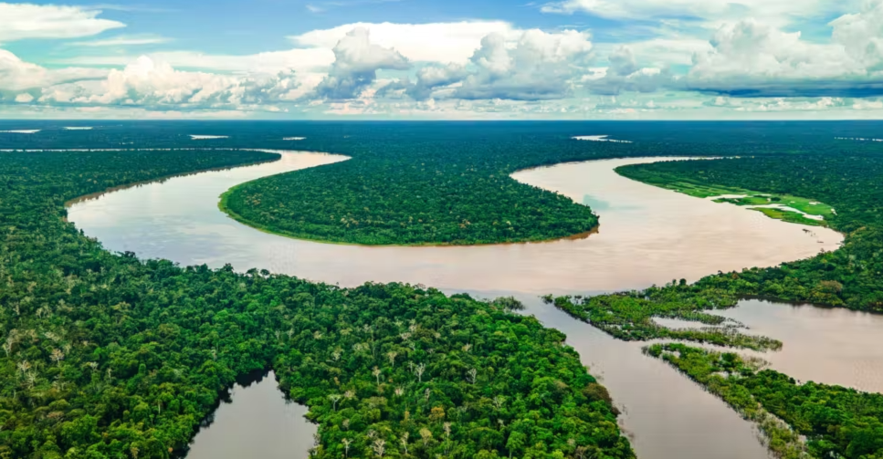 كولومبيا تعلن كامل منطقتها الحيوية خالية من النفط والتعدين