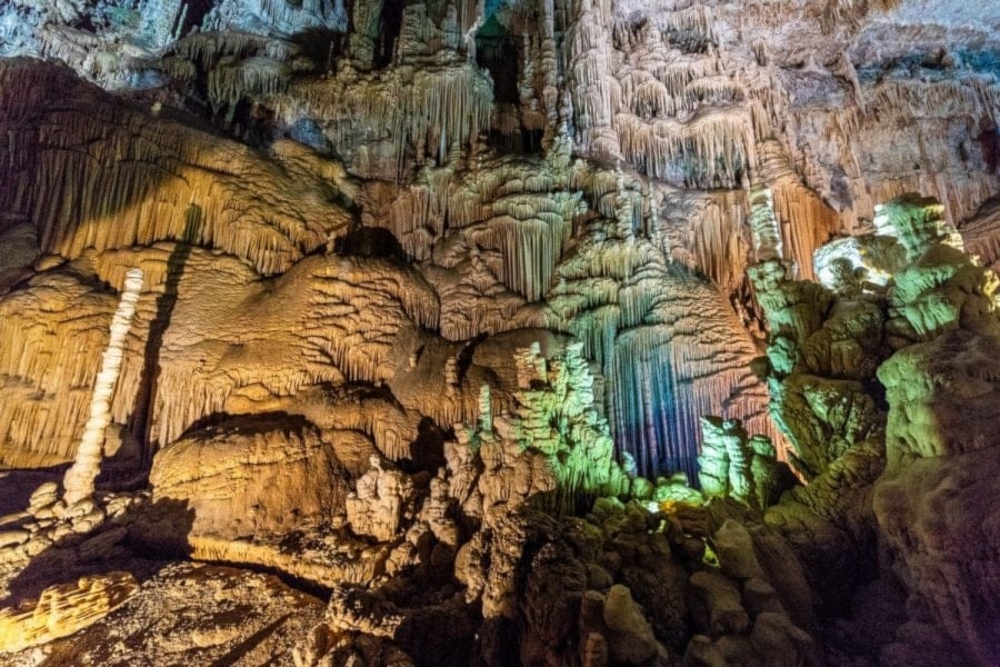  شددت الوزارة 