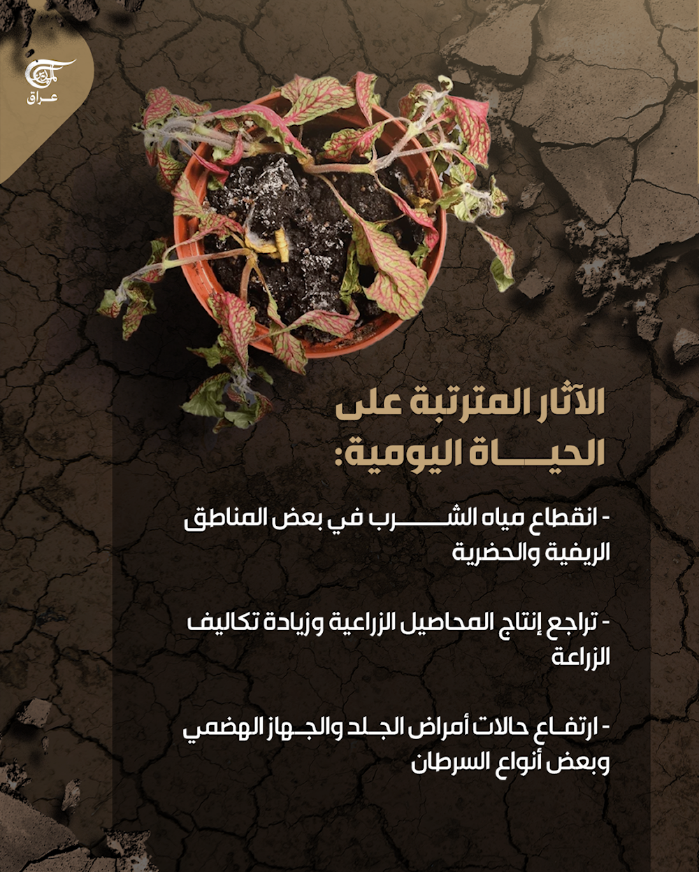 دجلة ينخفض..هل ينجو شريان حياة العراق؟