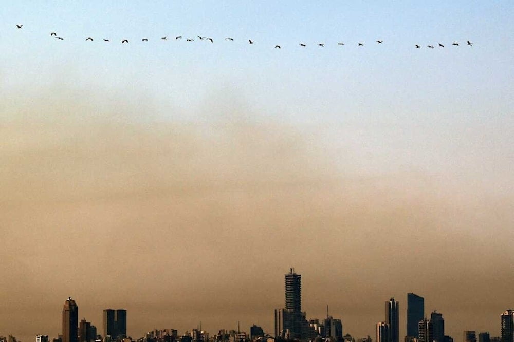 تلوث الهواء يعد أحد الأسباب الرئيسية وراء الزيادة الكبيرة في حالات السرطان في لبنان